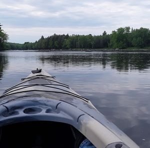 Meet your Posher, Bruce